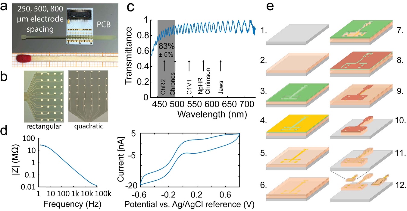 Transparent micro-ECoG array: layout, transmittance spectrum, and fabrication